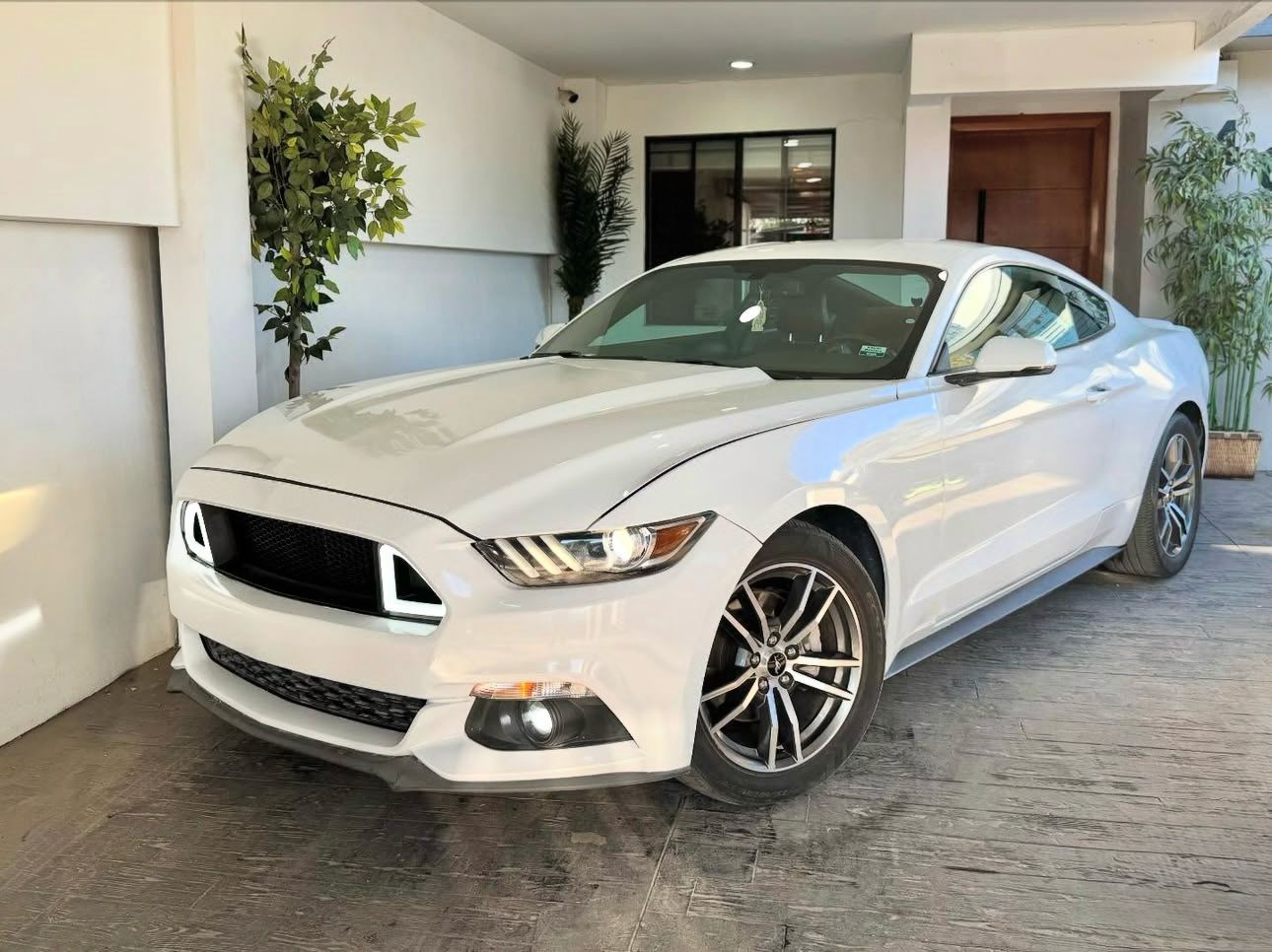 Rifa Ford MUSTANG